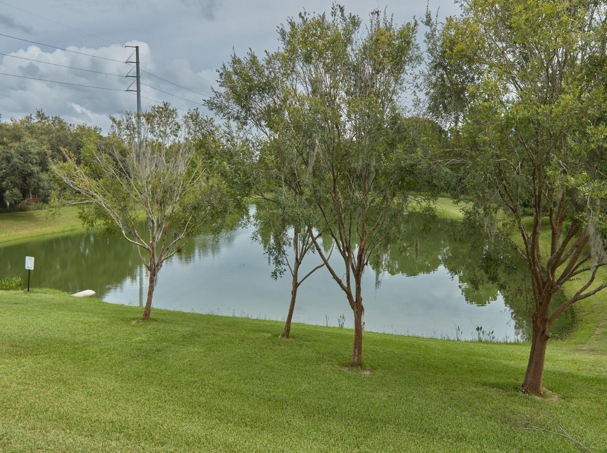 Spring Retreat Near Disney, Perfect For Families Kissimmee Phòng bức ảnh